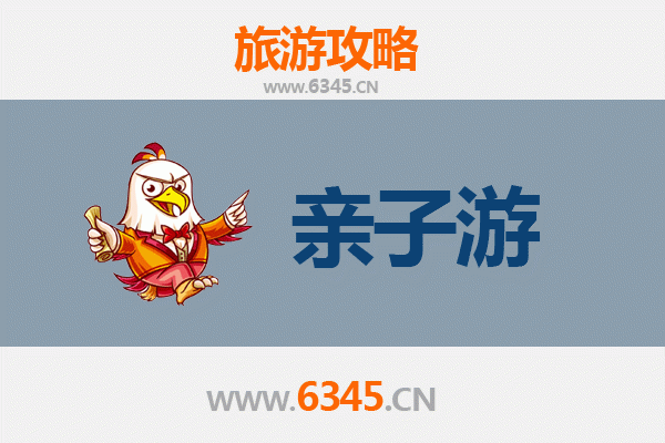 滨州沾化亲子游攻略：冬枣采摘与生态体验之旅