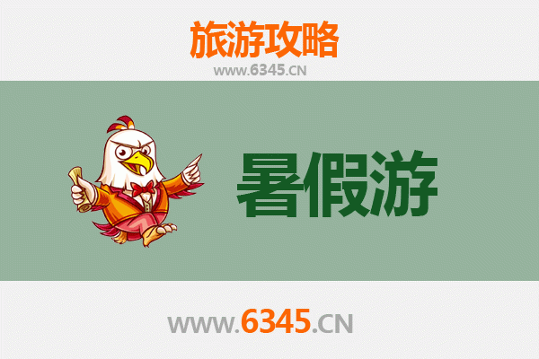 滨州沾化暑假旅游攻略：探索冬枣之乡的夏日风情