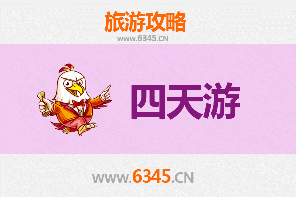 滨州沾化四天三夜深度游攻略：冬枣之乡的悠闲之旅