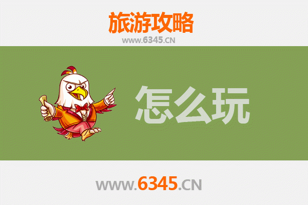 节假日滨州沾化游玩全攻略：冬枣之乡的深度体验